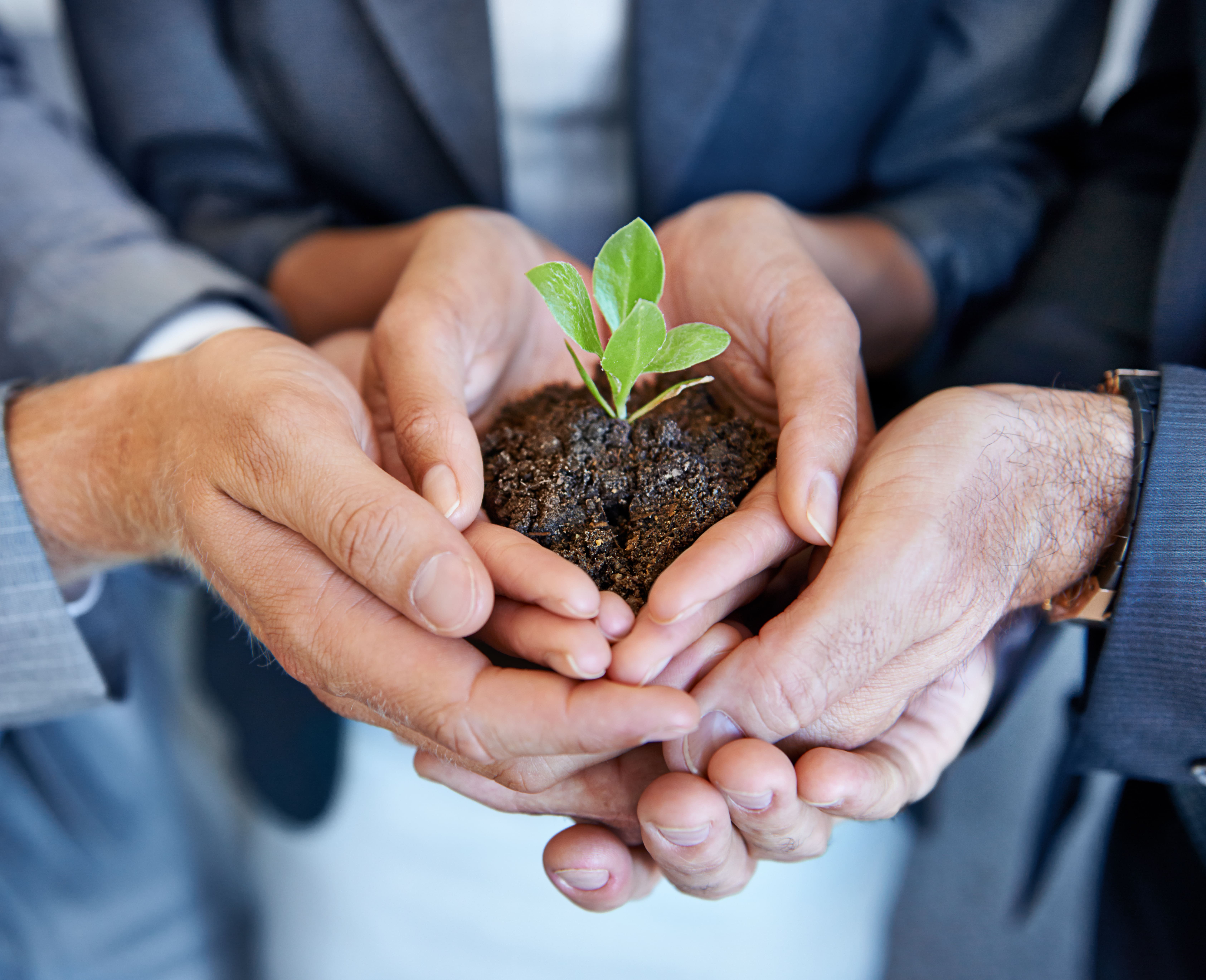 One day this tiny start-up will be successfull